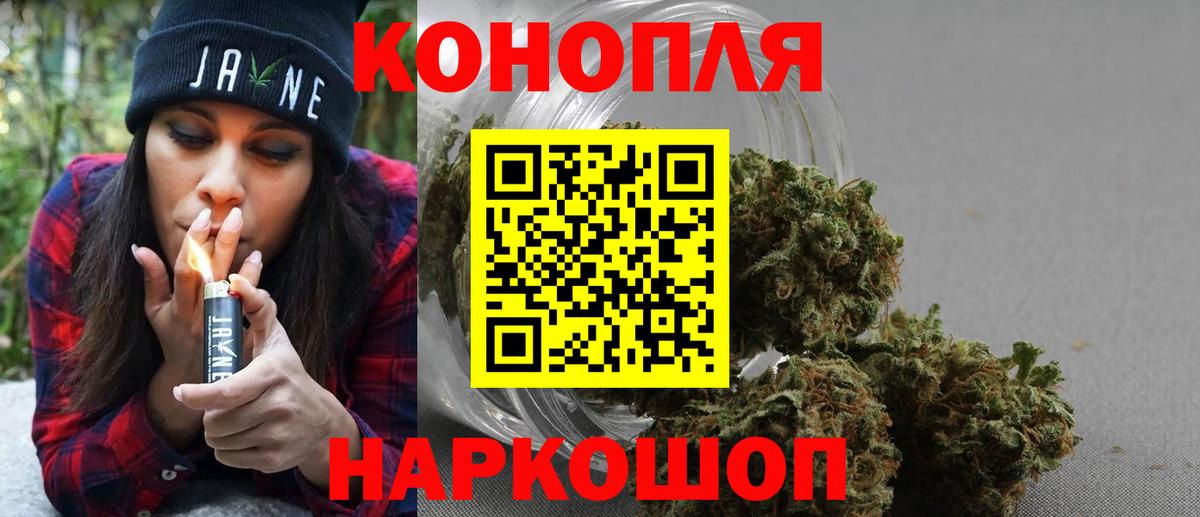 Конопля MAZAR Изобильный